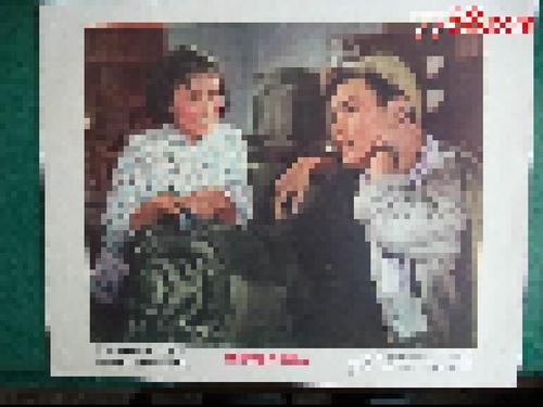 哪里可以制作德国护照扫描件